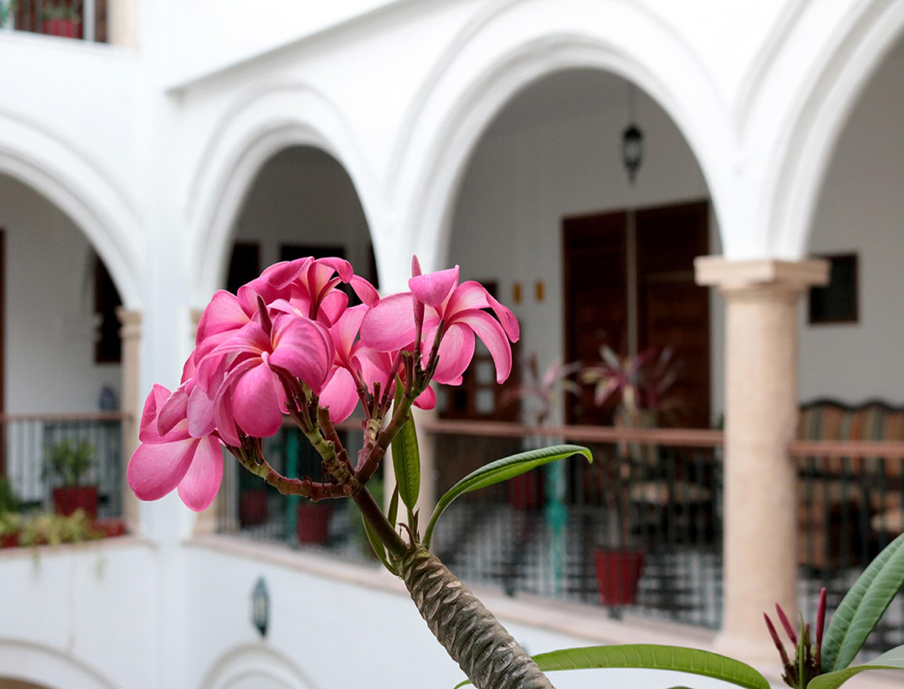 Hotel Mision Campeche Extérieur photo